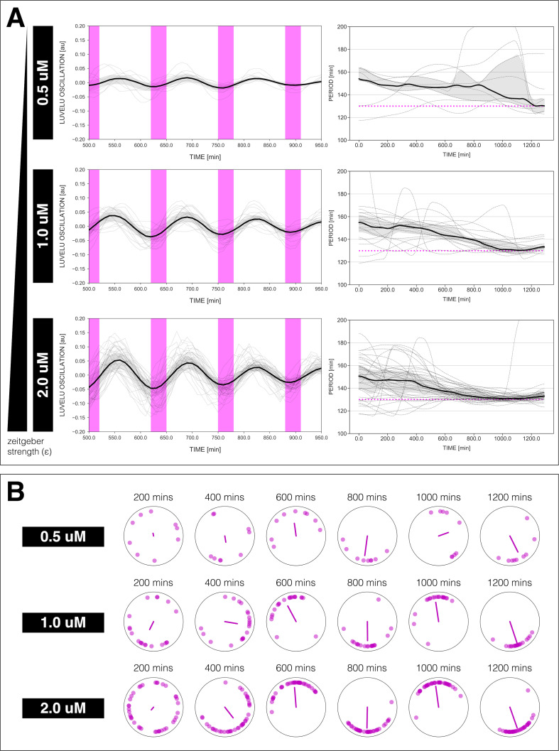 Figure 4—figure supplement 1.