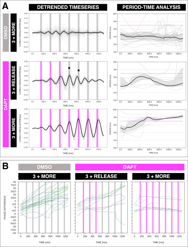 Figure 8—figure supplement 1.