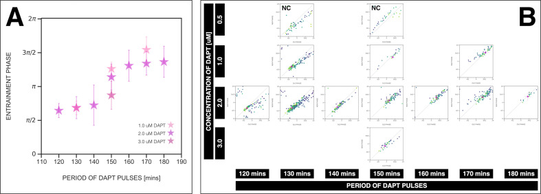 Figure 8—figure supplement 4.