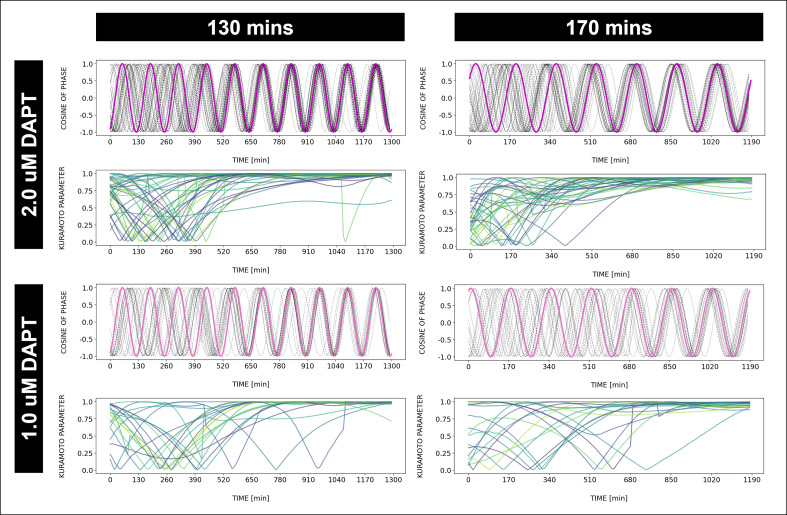 Figure 4—figure supplement 2.