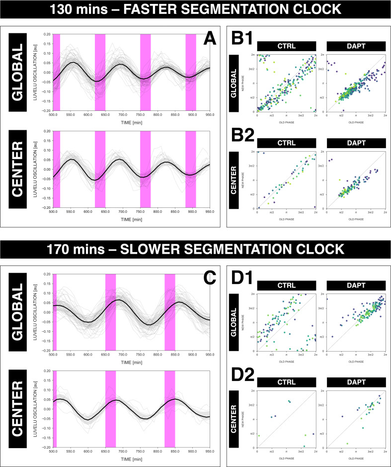 Figure 7—figure supplement 2.