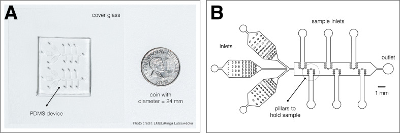 Figure 1—figure supplement 1.