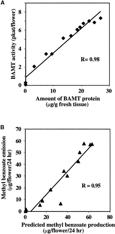 Figure 9.