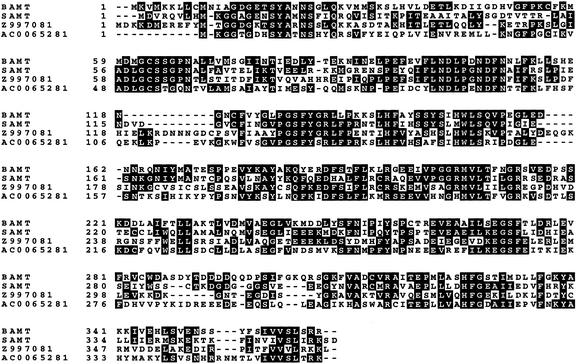 Figure 4.