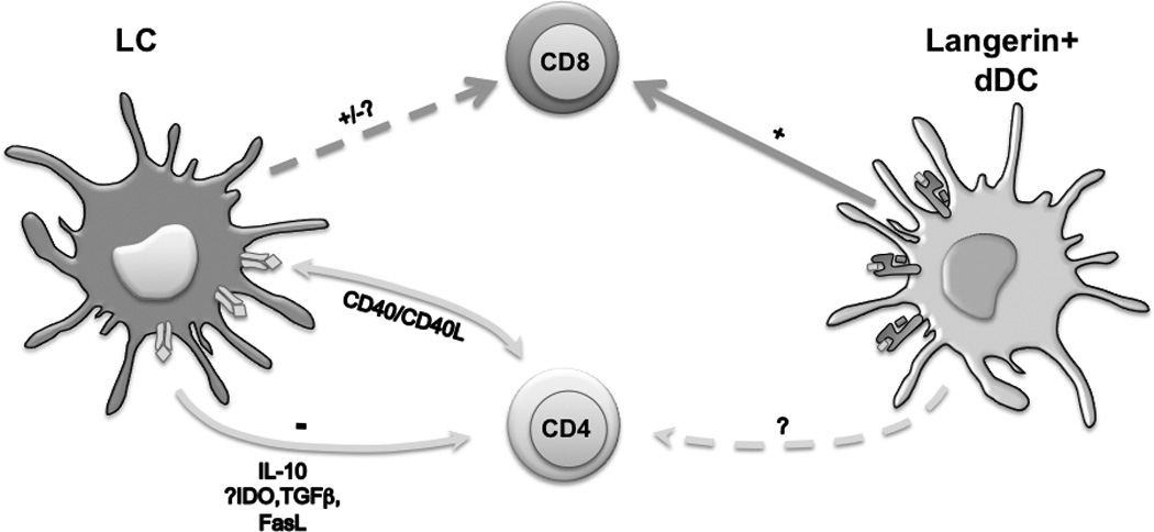 Fig.1