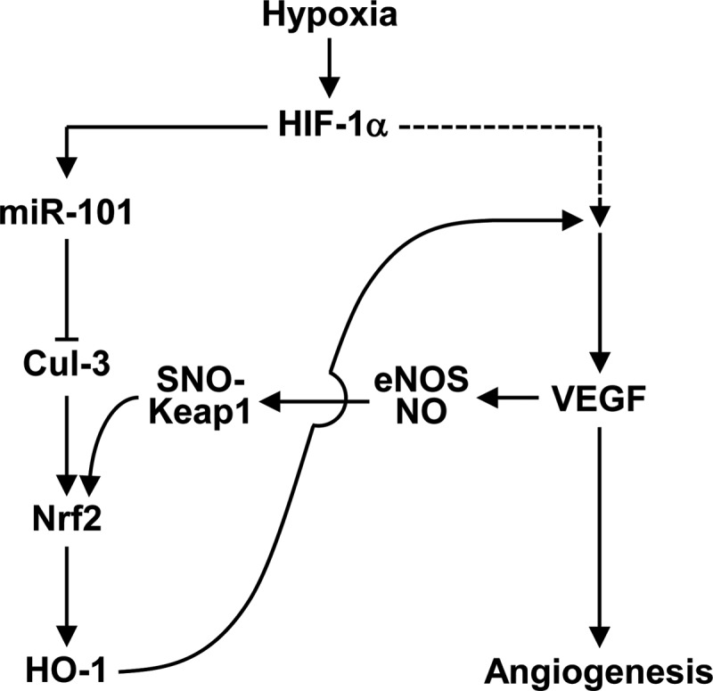 FIG. 7.