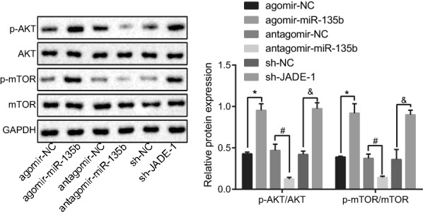 Fig. 6