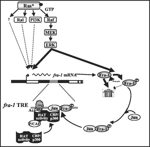 FIG. 8.