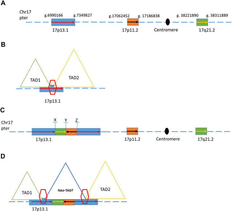 FIGURE 2