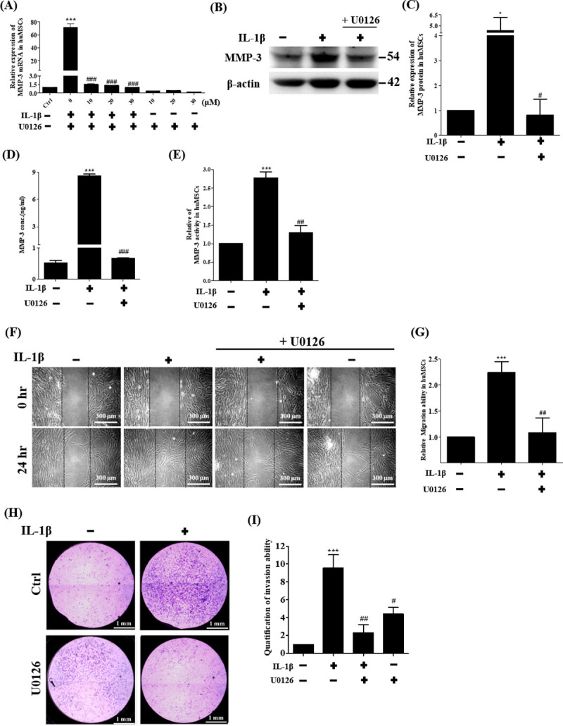 Fig 5