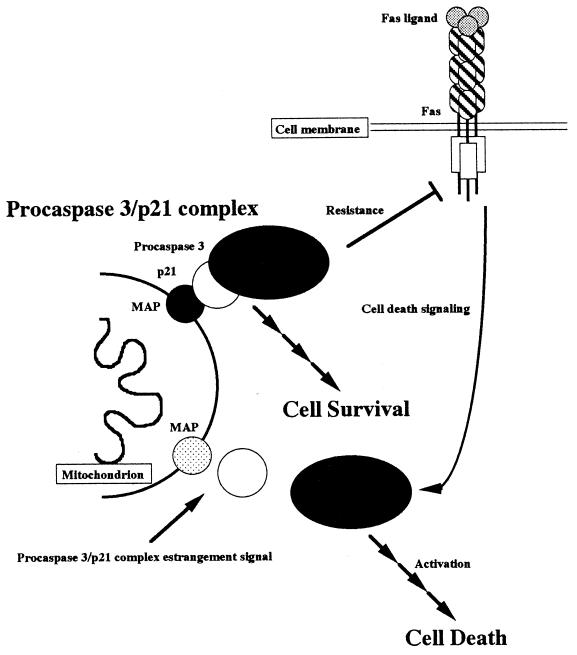 FIG. 6