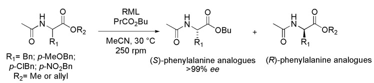 Scheme 29