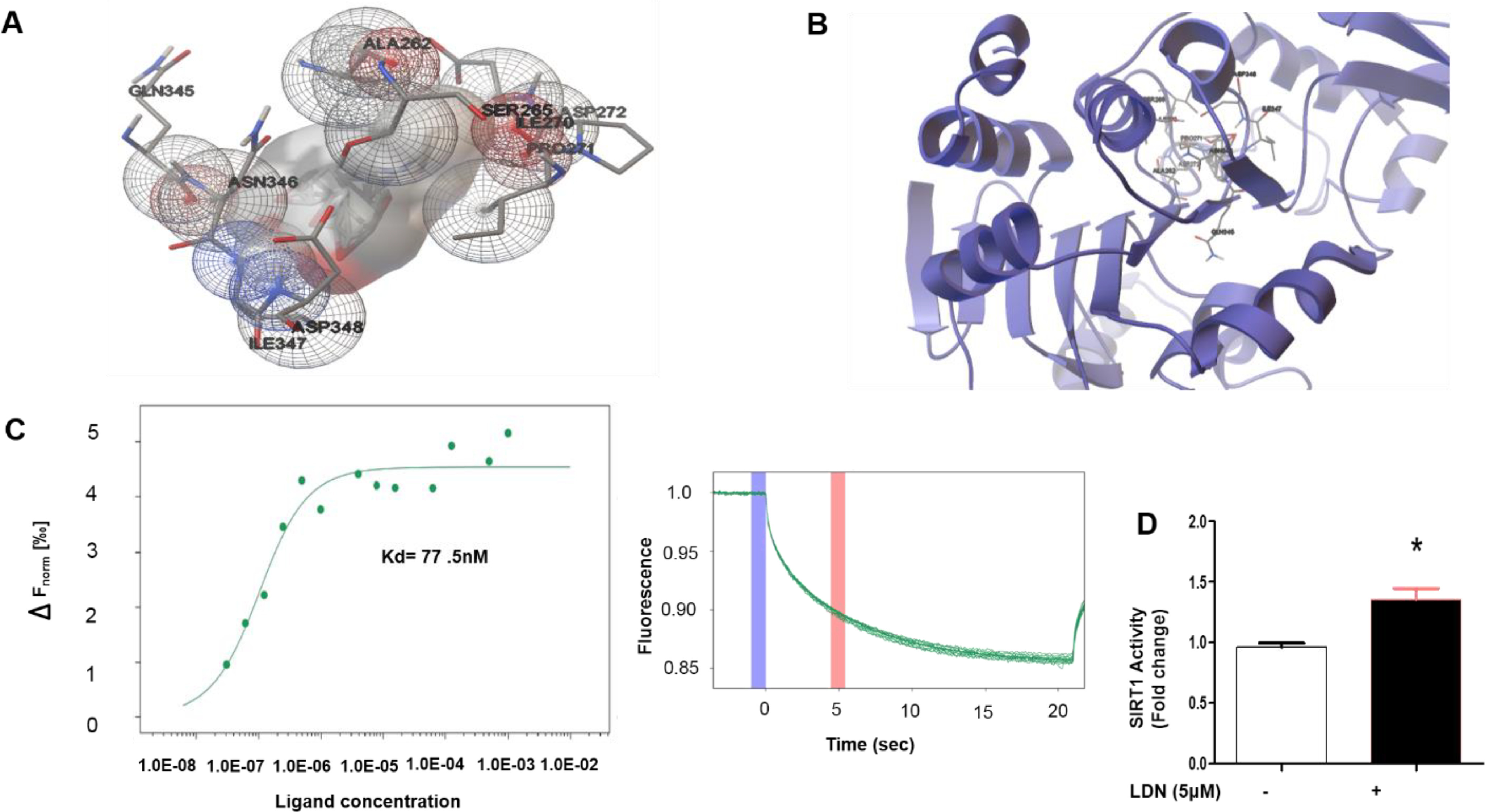 Figure 4.