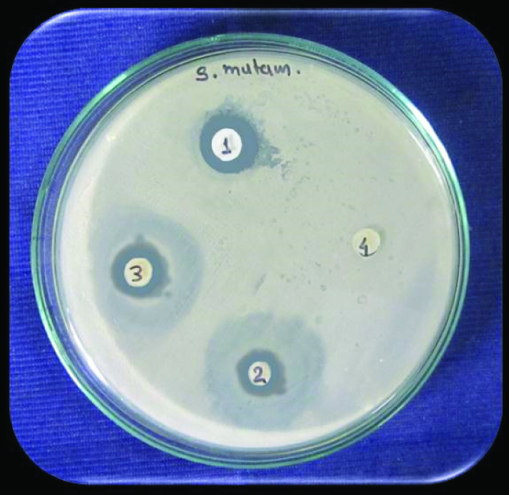 [Table/Fig-3]: