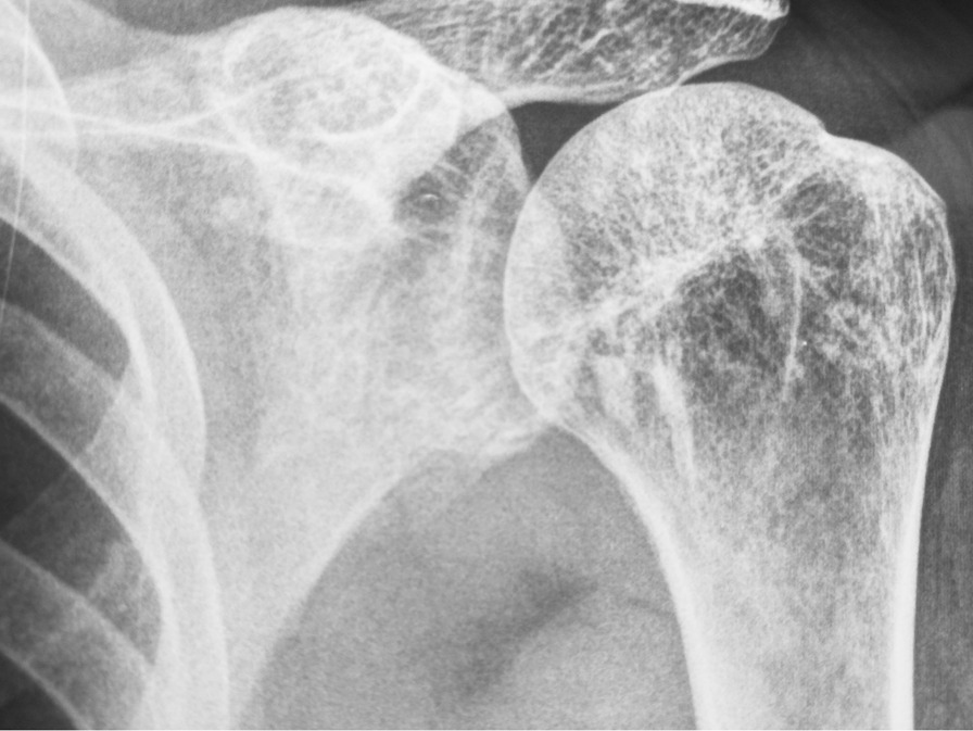 graphic file with name 13256_2023_4025_Fige_HTML.jpg