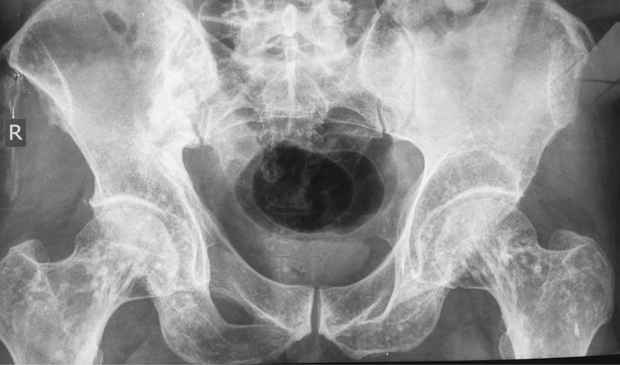 graphic file with name 13256_2023_4025_Figd_HTML.jpg