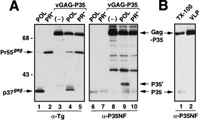 FIG. 6