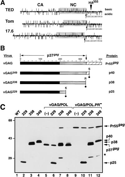 FIG. 5