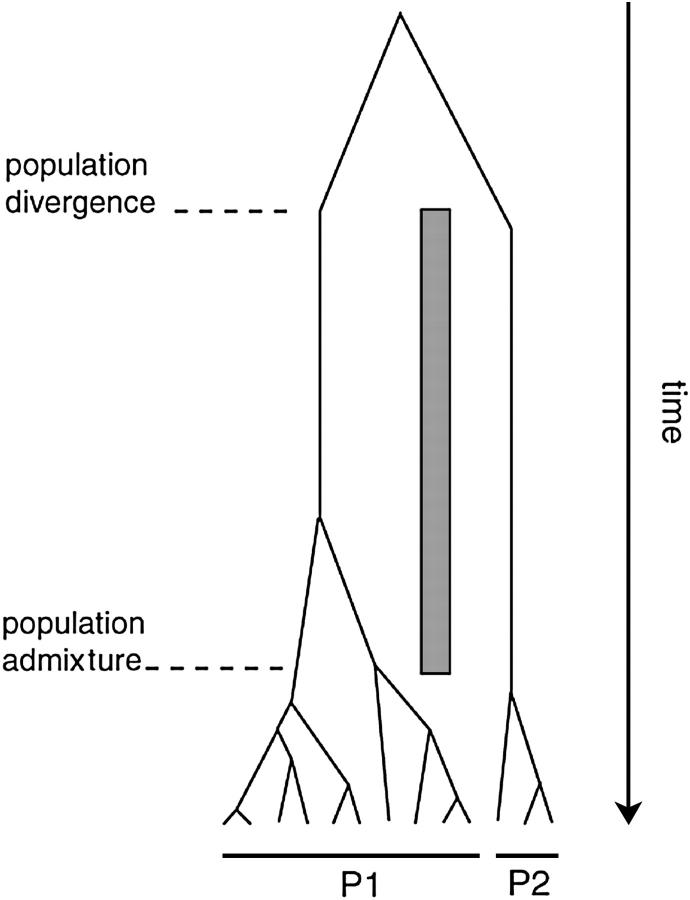 Figure 1.—