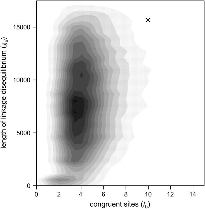 Figure 5.—