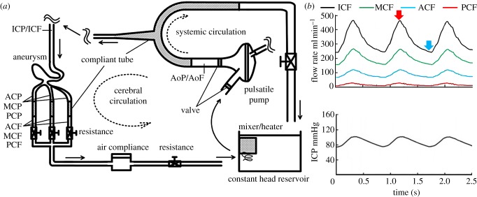 Figure 2.