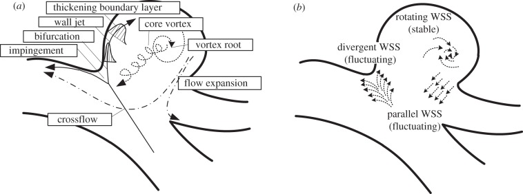 Figure 13.