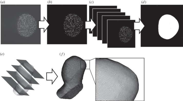 Figure 4.