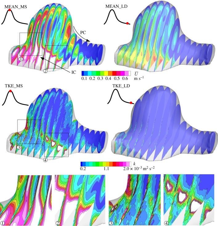 Figure 10.