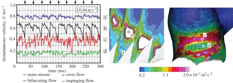 Figure 11.