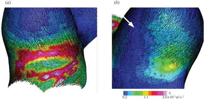 Figure 9.