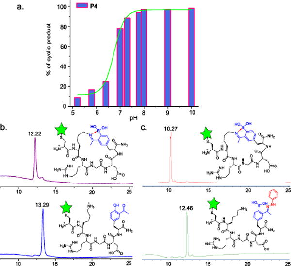 Fig. 3