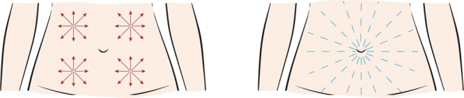 Fig. 5.