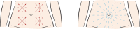 Fig. 5.