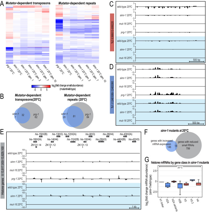 Figure 6—figure supplement 1.