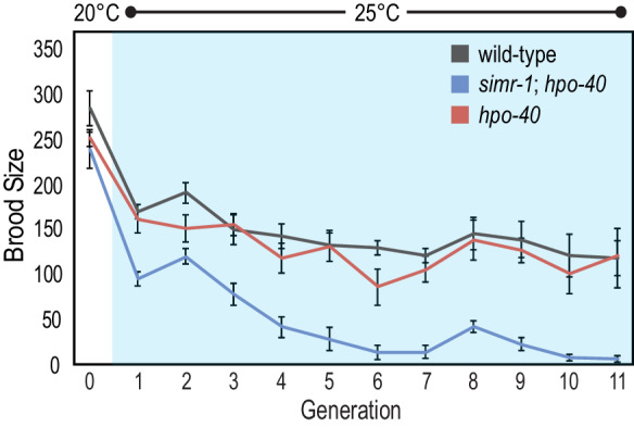 Figure 3—figure supplement 1.