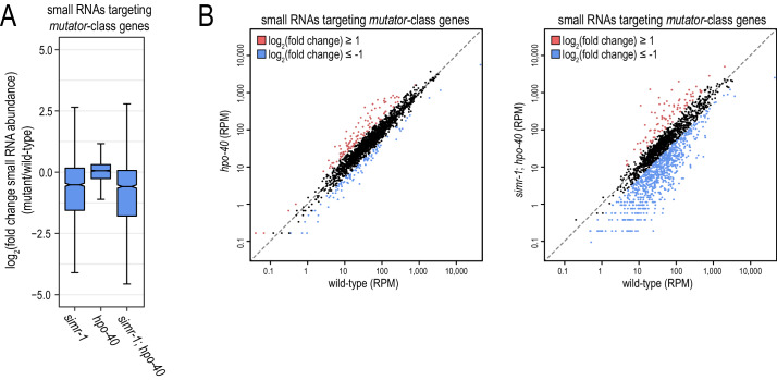 Figure 2—figure supplement 1.