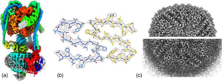 FIGURE 3