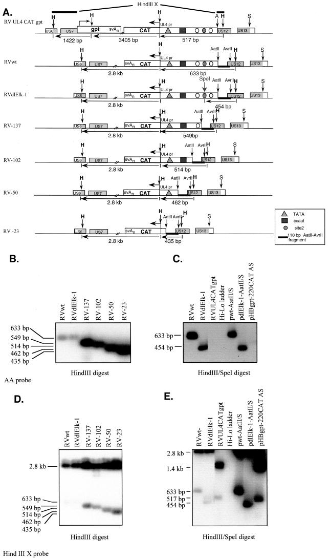 FIG.2.