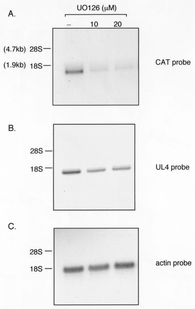 FIG. 8.