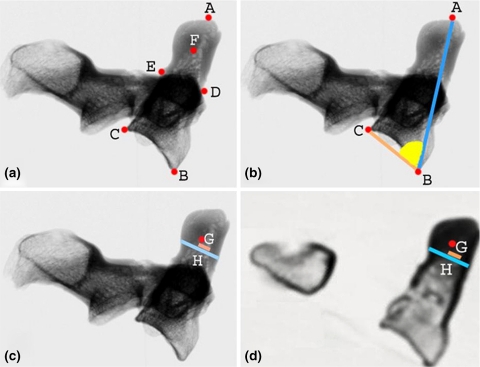 Fig. 1