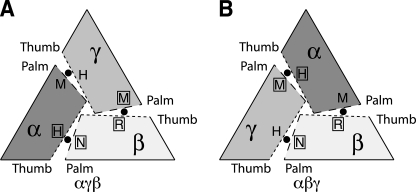 FIGURE 4.