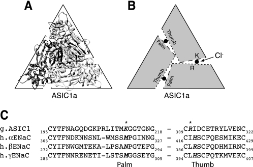 FIGURE 1.