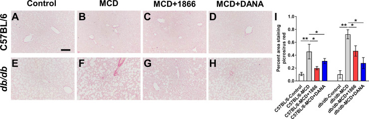 Fig 9