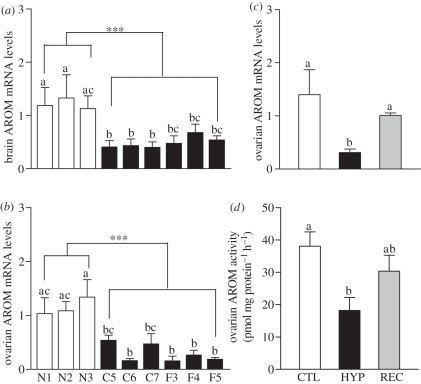 Figure 6.