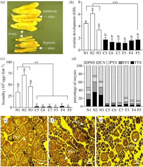 Figure 1.