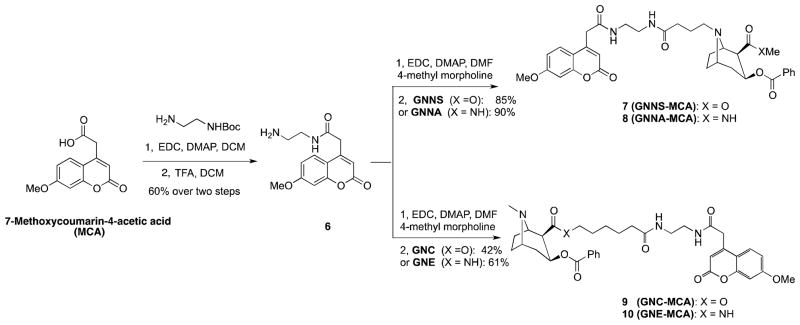 Scheme 2