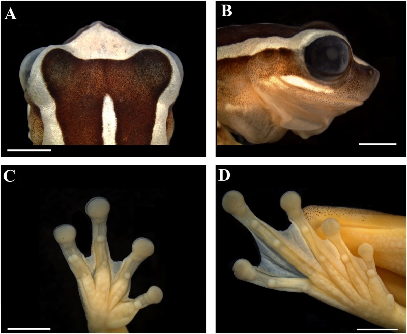 Fig 3