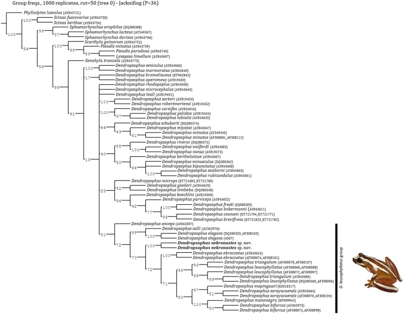 Fig 6