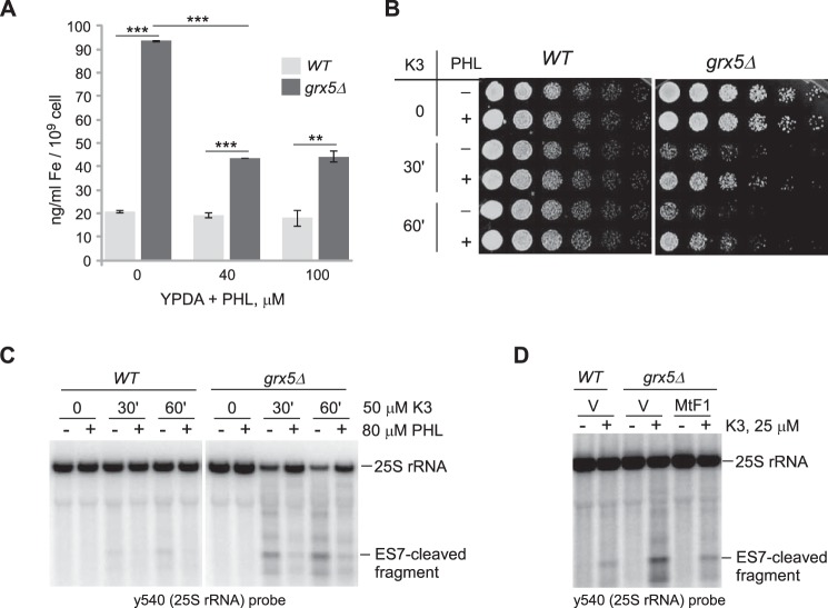 Figure 4.