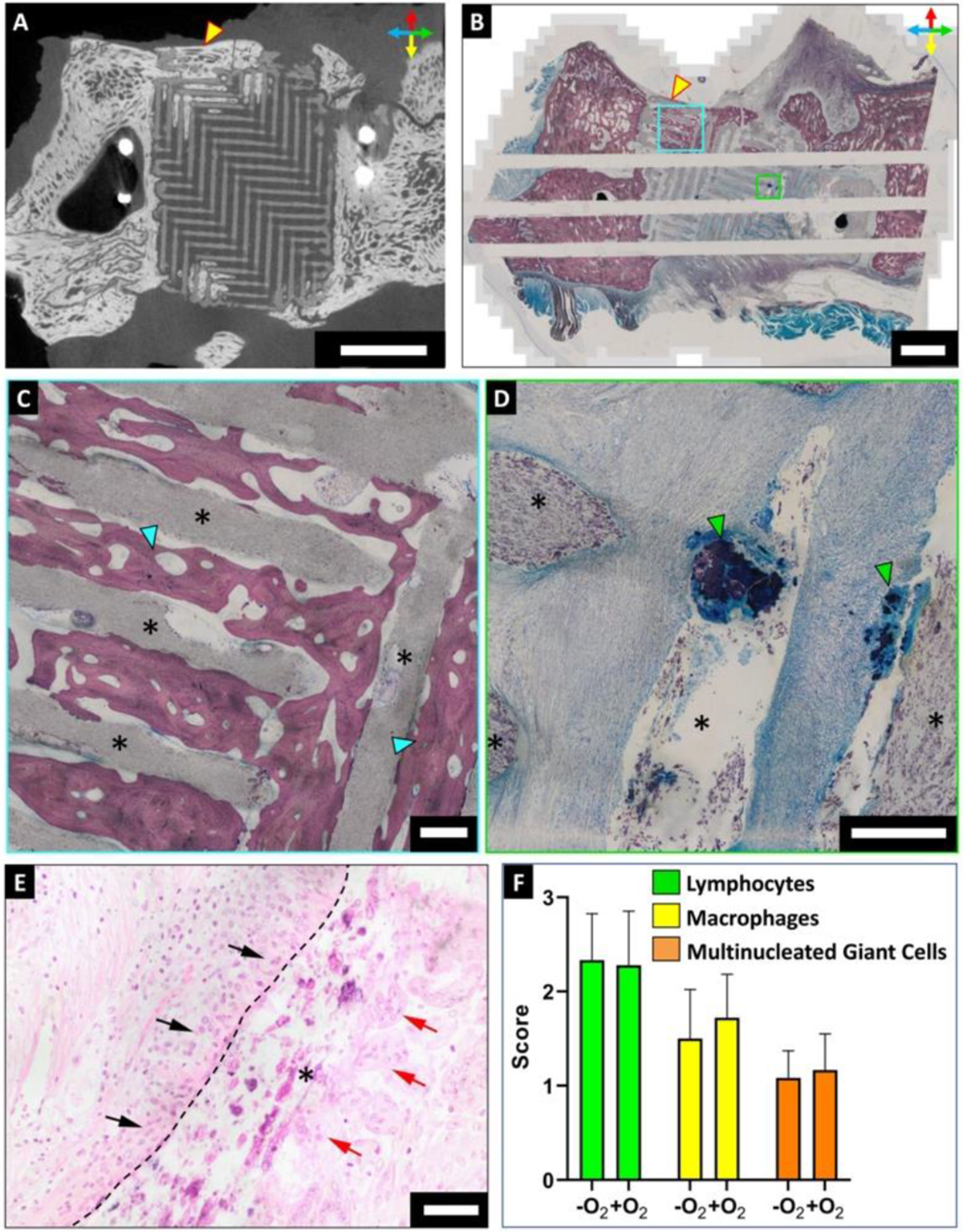 Figure 3: